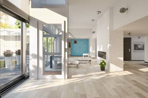 Home Elevator SK-1100-SERISE